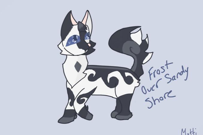 Drawn by Motti (Mottledpaw)
